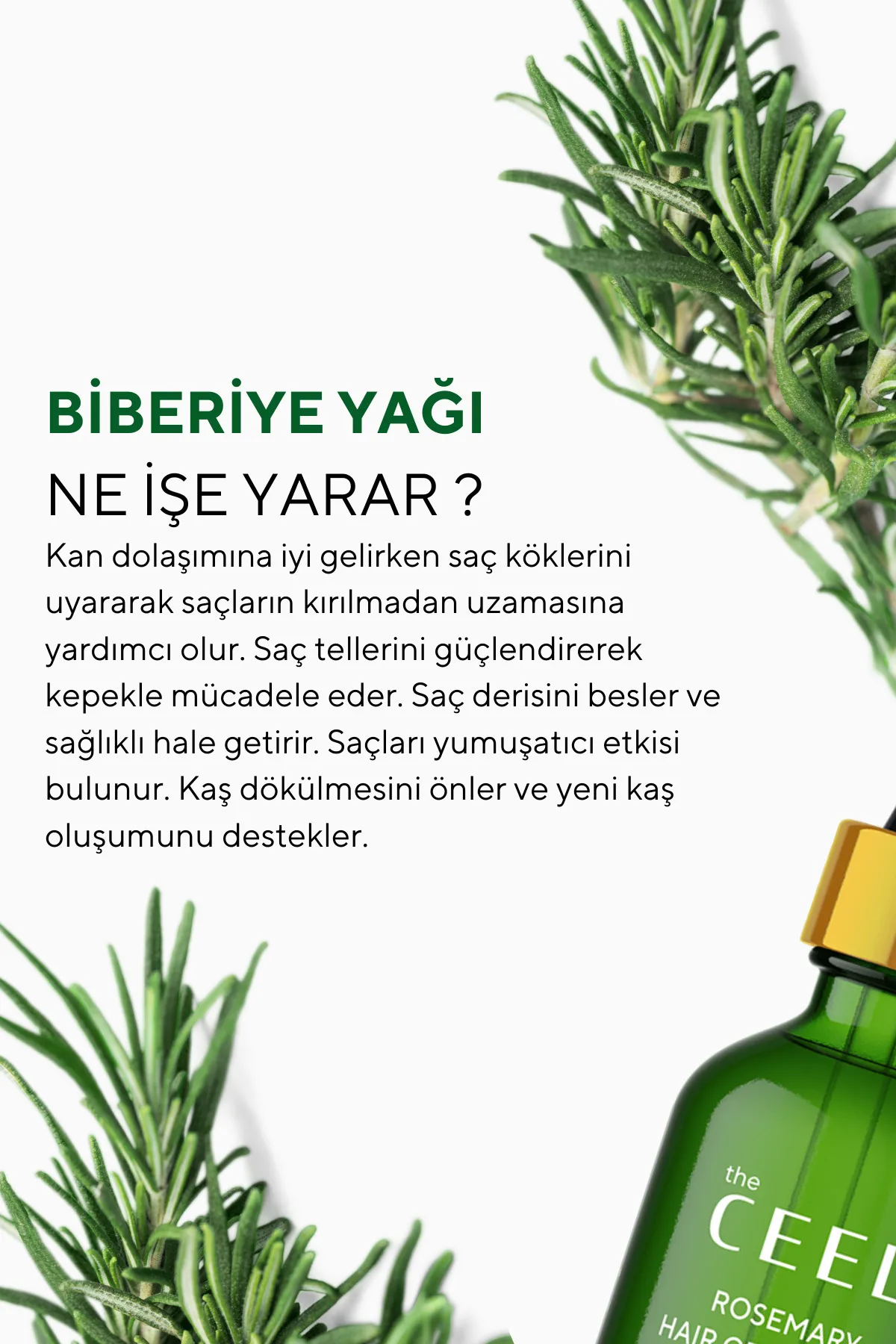 The Ceel Biberiye Yağı 50 ml