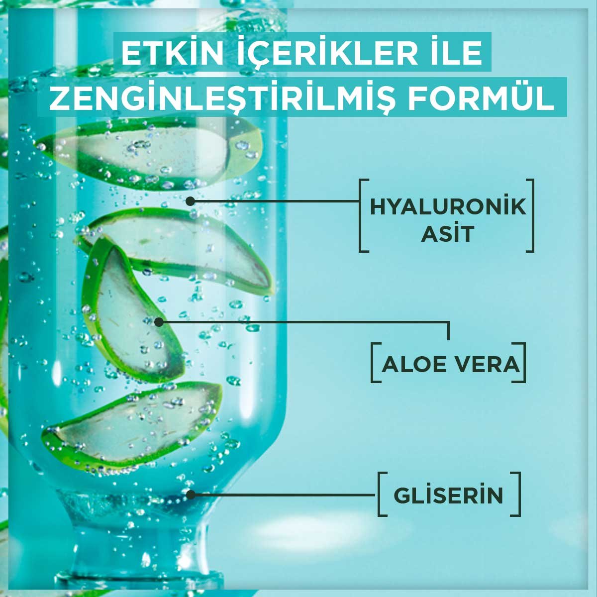 Garnier Skin Naturals Aloe Yatıştıran Temizleyici 250 ml