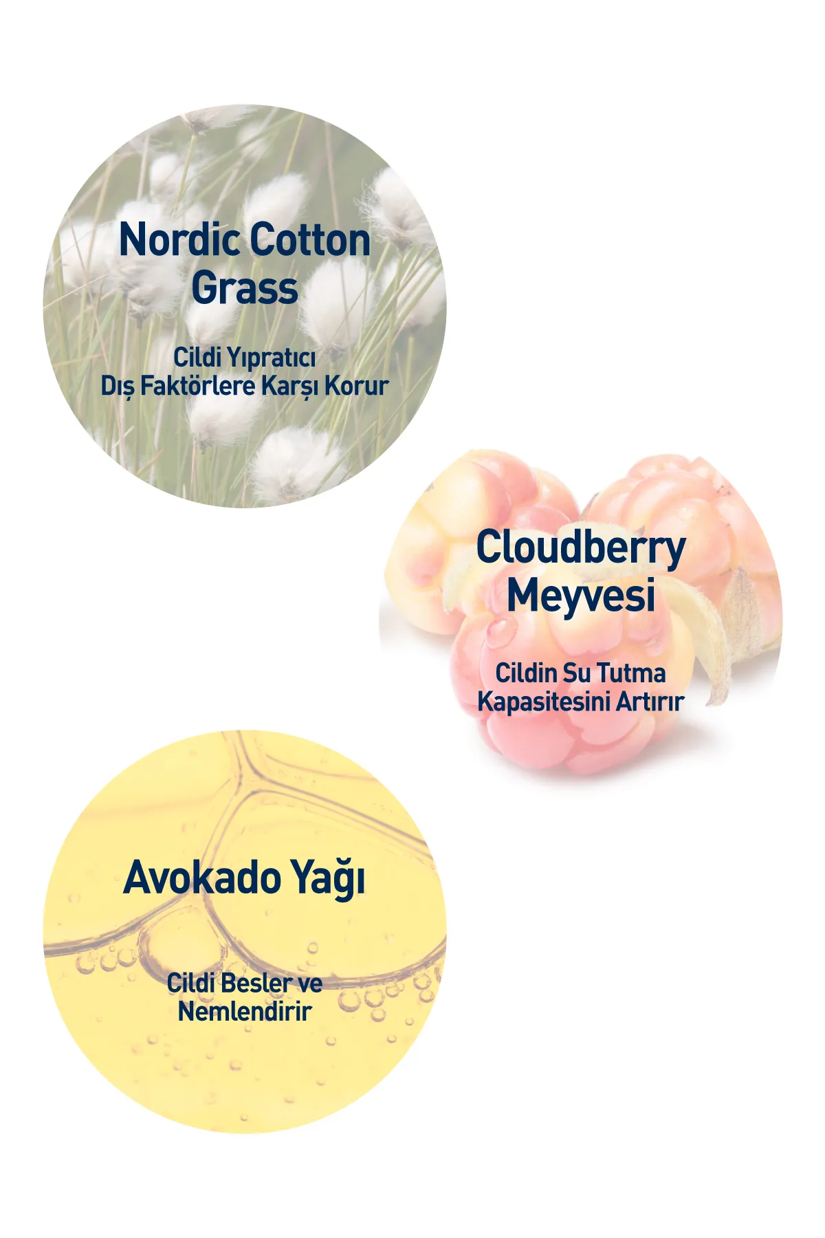 Celenes Cloudberry Yatıştırıcı Yüz Bakım Kremi Kuru ve Hassas Ciltler 50 ml