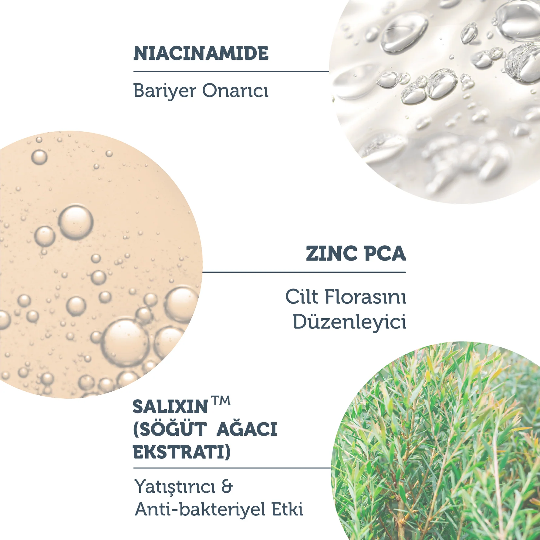 The Purest Solutions Siyah Nokta Ve Sivilce Karşıtı Cilt Bakım Serumu 30 ml 